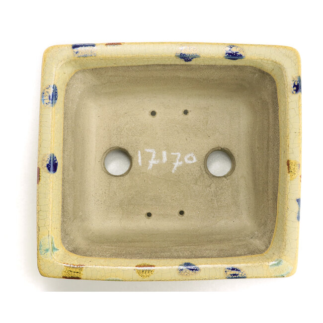 Rechthoekige beige bonsaipot van Terahata Satomi Mazan - 159 x 143 x 68 mm