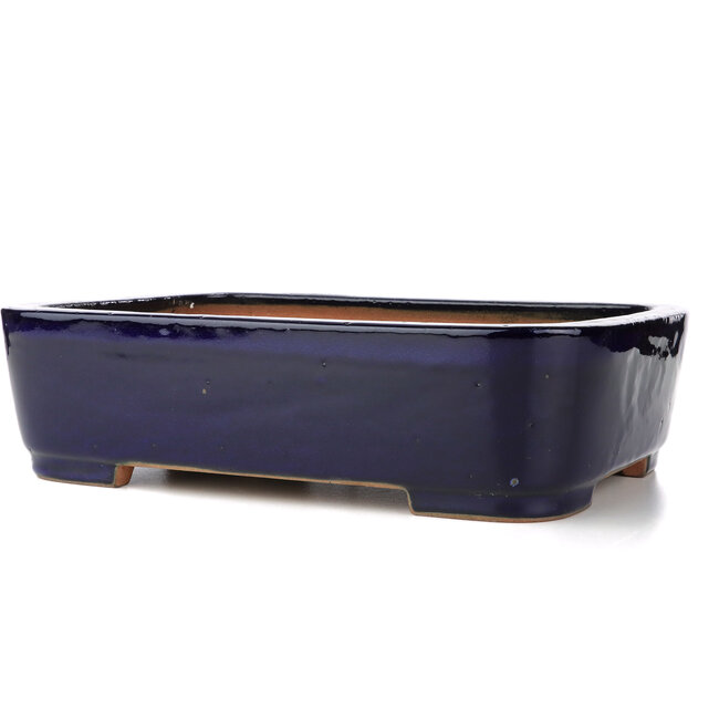 Pot à bonsaï rectangulaire bleu par Reiho - 355 x 262 x 95 mm
