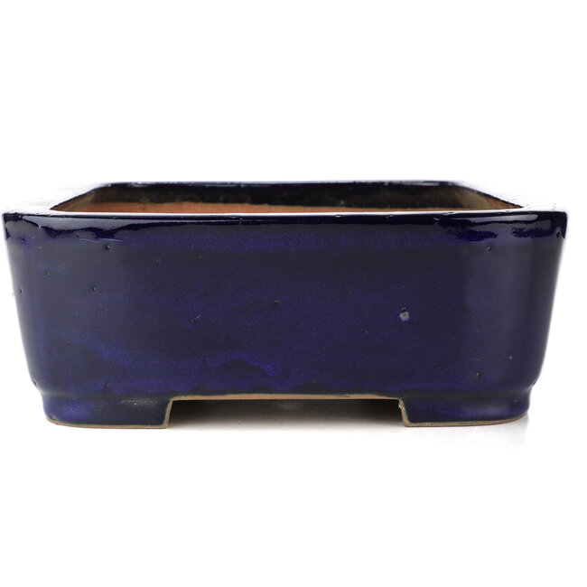 Rechteckige blaue Bonsaischale von Reiho - 355 x 262 x 95 mm