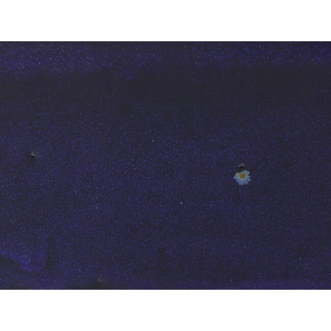 Pot à bonsaï rectangulaire bleu par Reiho - 355 x 262 x 95 mm