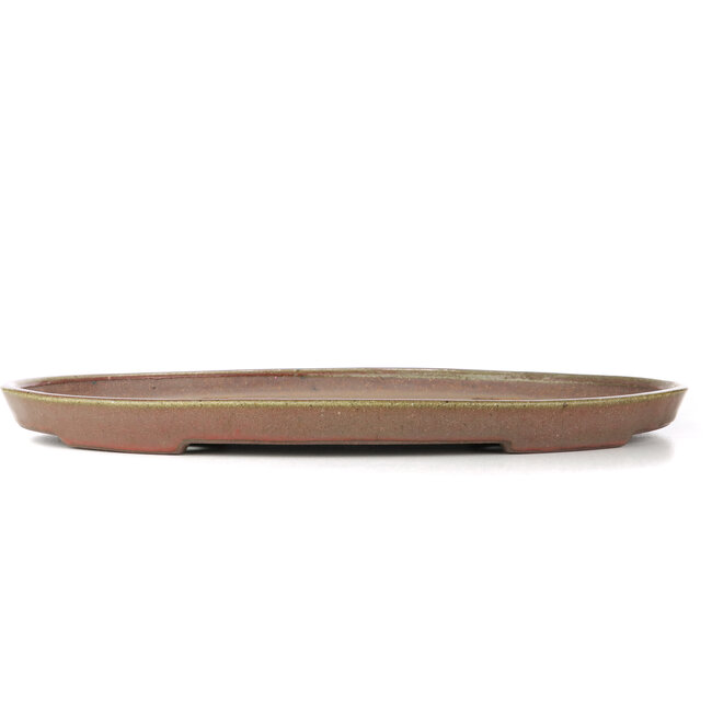 Oval purple bonsai pot by Reiho - 450 x 293 x 32 mm