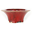 Round red bonsai pot by Sharaku - 163 x 163 x 67 mm