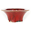 Vaso per bonsai rosso rotondo di Sharaku - 163 x 163 x 67 mm