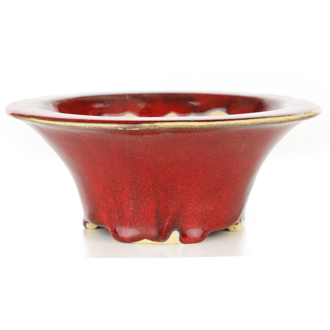 Runde rote Bonsaischale von Sharaku - 163 x 163 x 67 mm