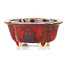 Mokko red bonsai pot by Sharaku - 130 x 110 x 55 mm