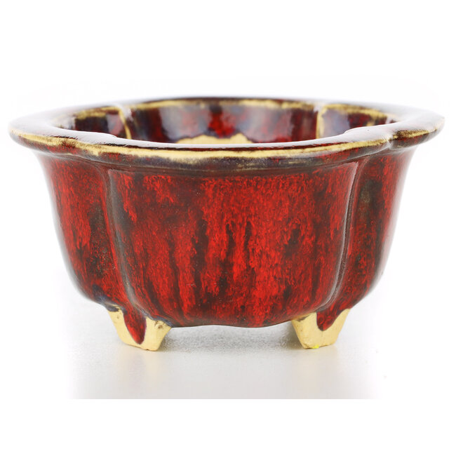 Mokko rote Bonsaischale von Sharaku - 130 x 110 x 55 mm