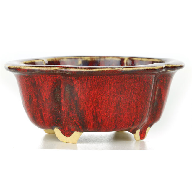 Mokko rote Bonsaischale von Sharaku - 130 x 110 x 55 mm