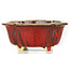 Mokko red bonsai pot by Sharaku - 130 x 110 x 55 mm