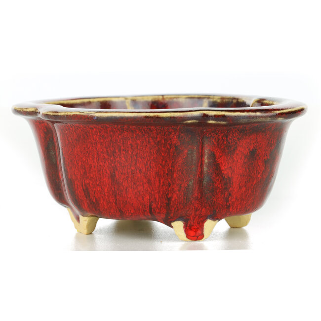 Mokko rote Bonsaischale von Sharaku - 130 x 110 x 55 mm