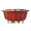 Vaso per bonsai rosso Mokko di Sharaku - 130 x 110 x 55 mm