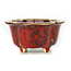 Vaso per bonsai rosso Mokko di Sharaku - 130 x 110 x 55 mm