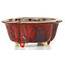 Mokko red bonsai pot by Sharaku - 130 x 110 x 55 mm