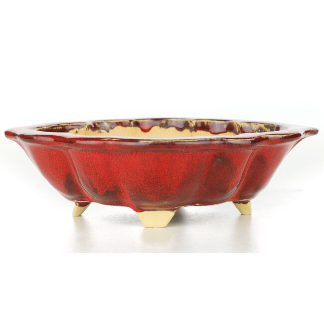 Mokko red bonsai pot by Sharaku - 187 x 153 x 55 mm