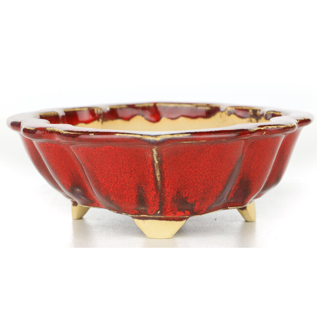 Mokko red bonsai pot by Sharaku - 187 x 153 x 55 mm