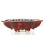 Vaso per bonsai rosso Mokko di Sharaku - 182 x 145 x 50 mm