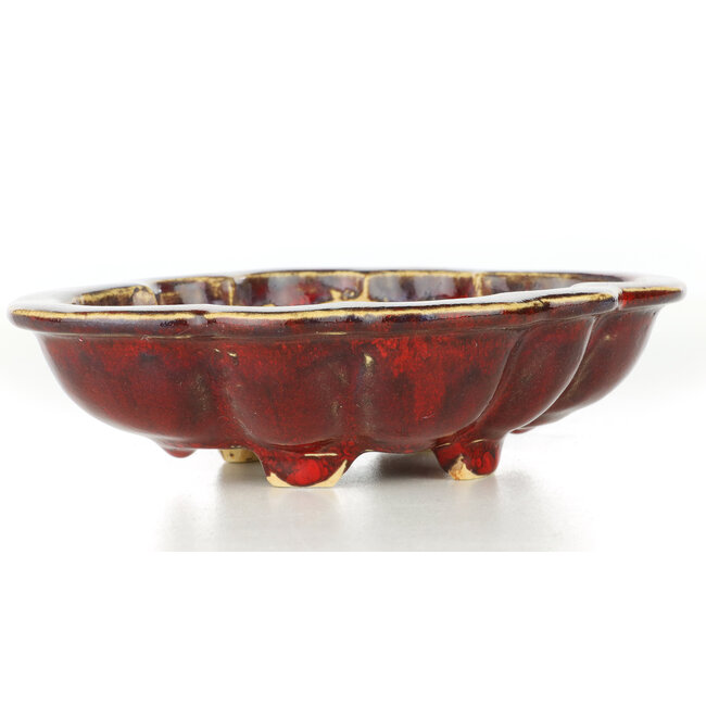 Mokko rode bonsai pot van Sharaku - 182 x 145 x 50 mm