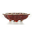 Mokko red bonsai pot by Sharaku - 182 x 145 x 50 mm