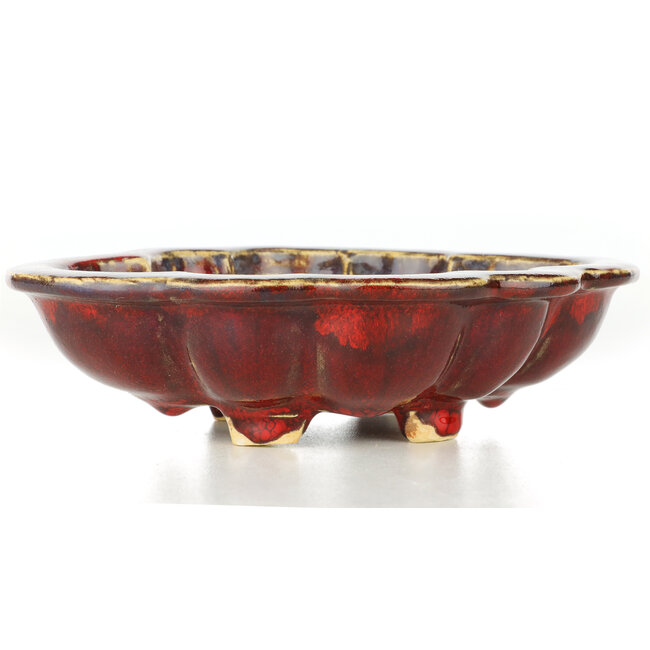 Maceta de bonsái Mokko rojo de Sharaku - 182 x 145 x 50 mm