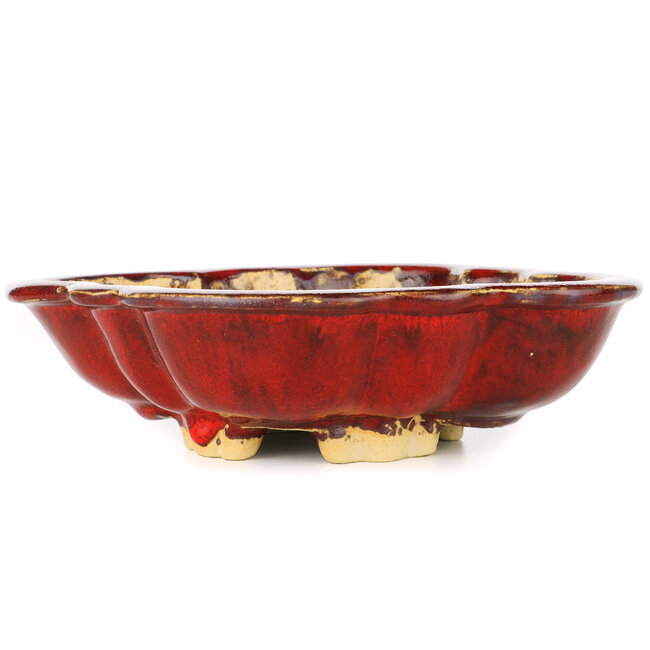 Vaso per bonsai rosso Mokko di Sharaku - 200 x 163 x 47 mm