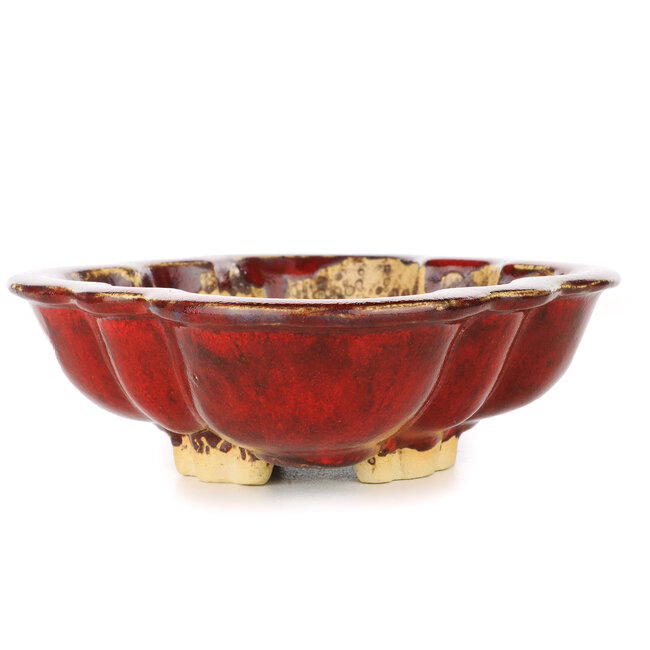 Vaso per bonsai rosso Mokko di Sharaku - 200 x 163 x 47 mm