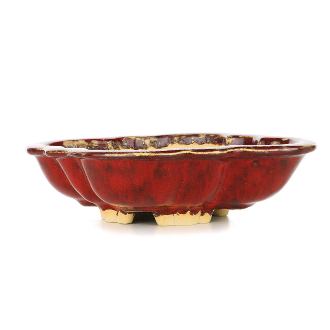 Mokko red bonsai pot by Sharaku - 200 x 163 x 47 mm