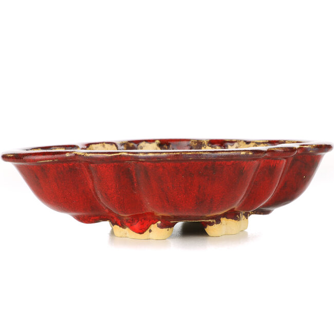 Maceta de bonsái Mokko rojo de Sharaku - 200 x 163 x 47 mm