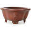 Pot à bonsaï Mokko non émaillé par Bigei - 135 x 115 x 55 mm