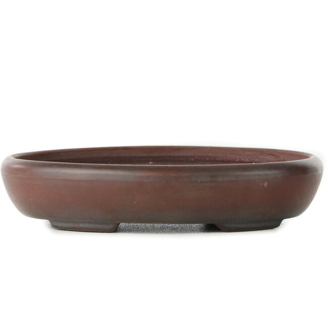 Oval unglazed bonsai pot by Bigei - 100 x 78 x 21 mm