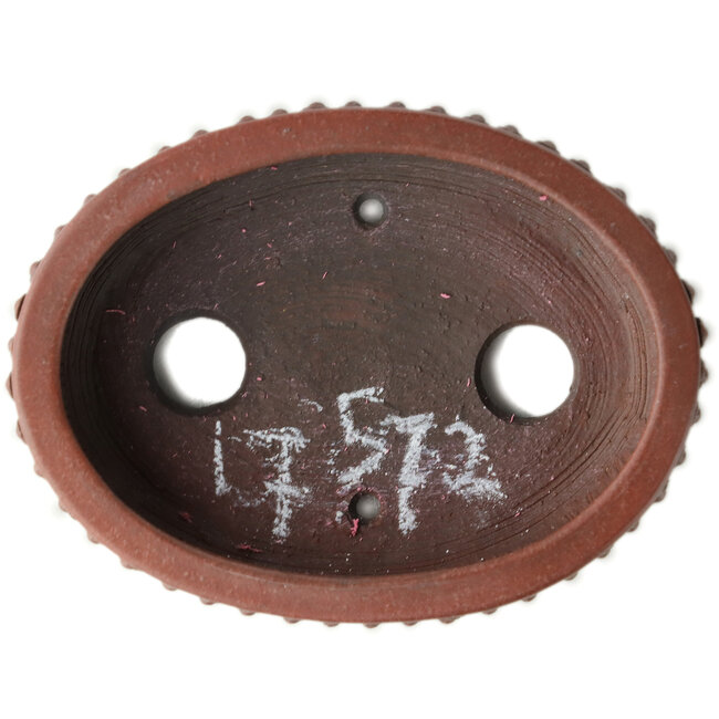 Maceta de bonsái ovalada sin esmaltar de Bigei - 95 x 70 x 25 mm