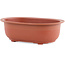 Oval plastic bonsai pot  in terracotta color - 255 x 180 x 80 mm