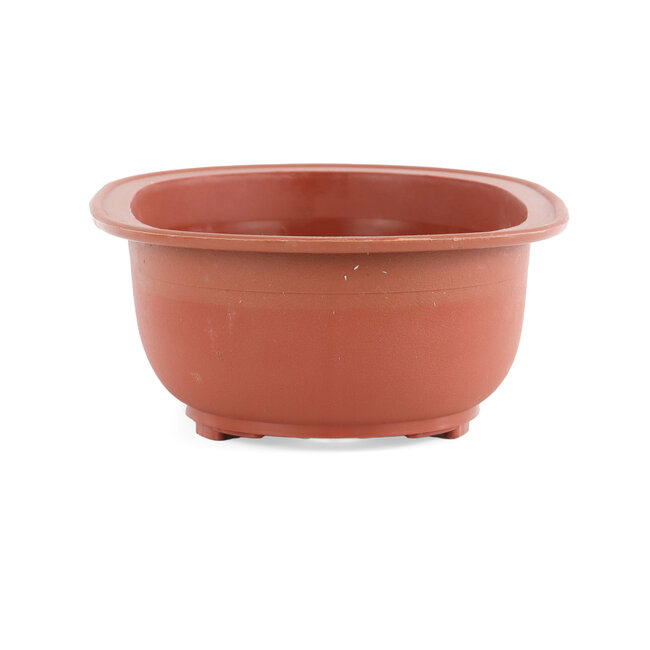 Vaso bonsai ovale in plastica color terracotta - 255 x 180 x 80 mm