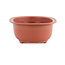 Pot à bonsaï ovale en plastique couleur terre cuite - 255 x 180 x 80 mm