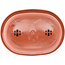 Oval plastic bonsai pot  in terracotta color - 255 x 180 x 80 mm