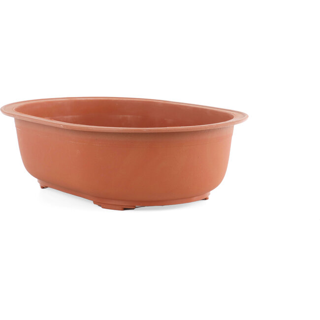 Maceta para bonsái de plástico ovalada en color terracota - 315 x 230 x 100 mm