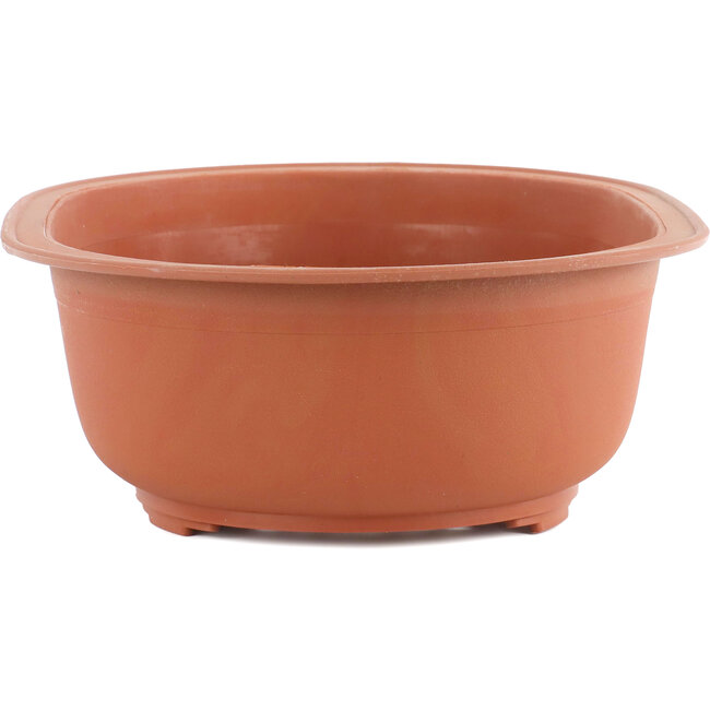 Vaso bonsai ovale in plastica color terracotta - 315 x 230 x 100 mm