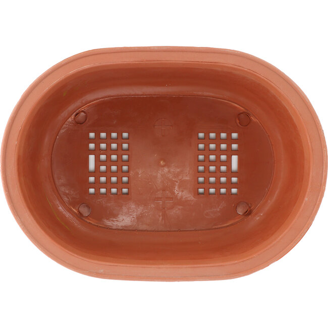Maceta para bonsái de plástico ovalada en color terracota - 315 x 230 x 100 mm