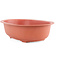 Oval plastic bonsai pot  in terracotta color - 375 x 270 x 103 mm