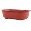 Pot à bonsaï ovale en plastique couleur terre cuite - 450 x 310 x 130 mm