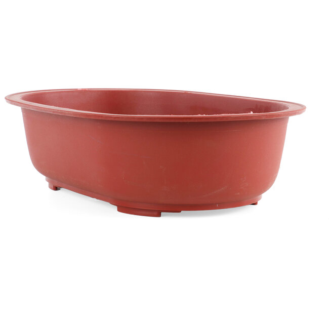 Pot à bonsaï ovale en plastique couleur terre cuite - 450 x 310 x 130 mm