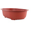 Pot à bonsaï ovale en plastique couleur terre cuite - 450 x 310 x 130 mm