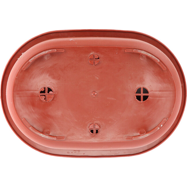 Ovale kunststof bonsaipot in terracotta kleur - 450 x 310 x 130 mm