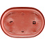 Oval plastic bonsai pot  in terracotta color - 450 x 310 x 130 mm