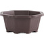 150 mm lotus shape plastic pot