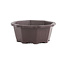 Octagonal brown plastic bonsai pot - 150 x 150 x 65 mm