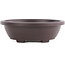 Oval high brown plastic bonsai pot - 245 x 195 x 80 mm