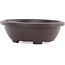 Oval high brown plastic bonsai pot - 245 x 195 x 80 mm