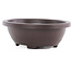 Oval high brown plastic bonsai pot - 245 x 195 x 80 mm