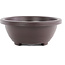 Oval high brown plastic bonsai pot - 245 x 195 x 80 mm