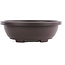 Ovale hoge bruine kunststof bonsai pot - 360 x 285 x 110 mm