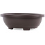 Ovale hoge bruine kunststof bonsai pot - 360 x 285 x 110 mm